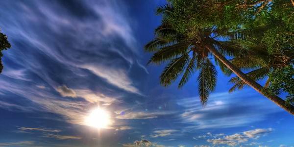 Looking up at the clouds and sun